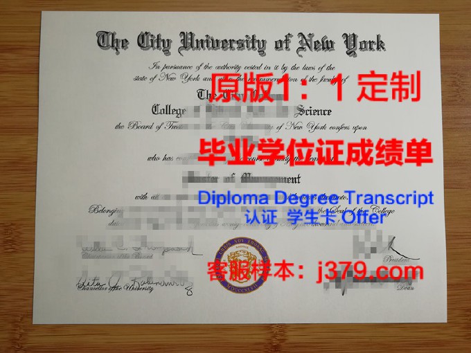 美国纽约博士的毕业证