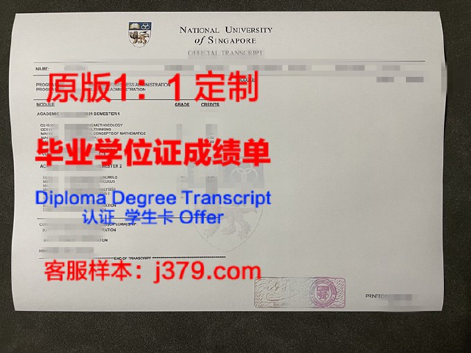 新加坡国立大学毕业证书